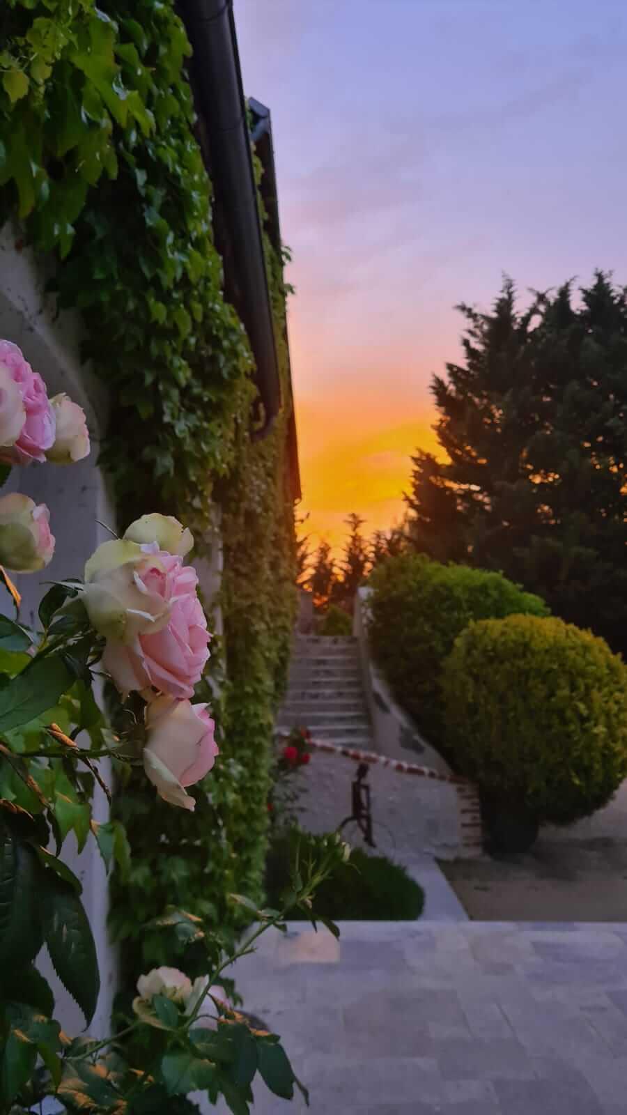 Domaine De La Blonnerie Bed & Breakfast Feings  Exterior photo